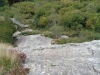 IMG0028