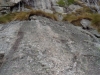 IMG0039
