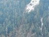 IMG_20260117_125051_1