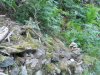 DSCN0103