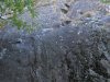 DSCN0106