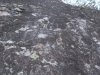 DSCN0110