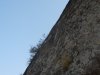 DSCN0119
