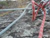 DSCN0130