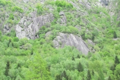 17/05/2014 - Piede del elefante