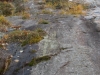DSCN2354