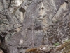 DSC00155