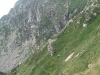 DSCF2690