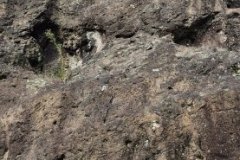 19/09/2026 Pietra Croana-Sperone Centrale
