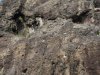 20260919_090952