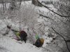 DSCN0006