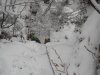 DSCN0025