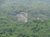 DSC00890