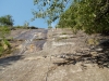 DSCN2110