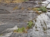 DSCN0964
