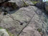 DSC00685