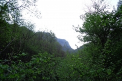 28/04/2018 placcha del orso