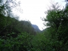 IMG0007