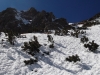 DSCF2053.JPG