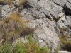 DSCN0666