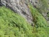 DSCN0674