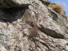 DSCN0677