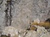 DSCN0687