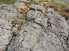 DSCN0688