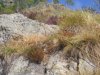 DSCN0695