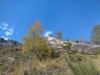 DSC00541