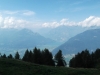 DSCF5529
